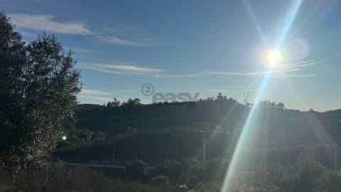2 Moradias para recuperar em Terreno com 12000m2-Santana da Serra
