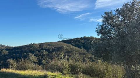 2 Moradias para recuperar em Terreno com 12000m2-Santana da Serra