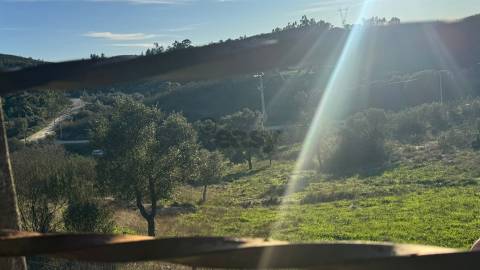 2 Moradias para recuperar em Terreno com 12000m2-Santana da Serra