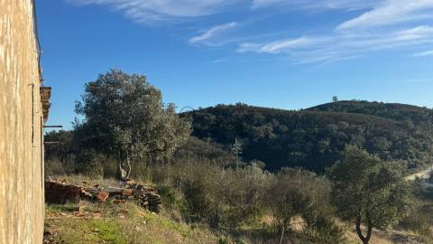 2 Moradias para recuperar em Terreno com 12000m2-Santana da Serra