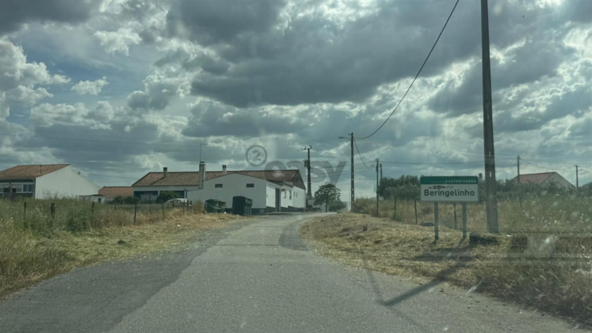 Terreno Rústico com 37ha, Beringelinho, Castro Verde