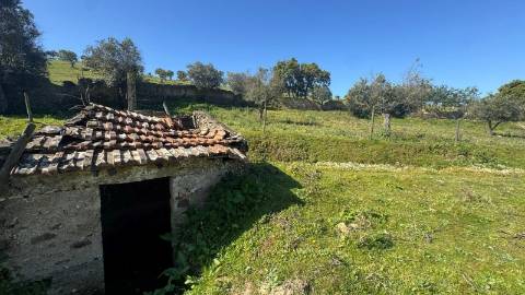 Quinta do Anjinho – Um refúgio único no coração do Alentejo