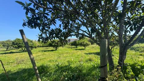Quinta do Anjinho – Um refúgio único no coração do Alentejo