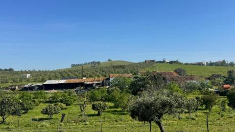 Quinta do Anjinho – Um refúgio único no coração do Alentejo