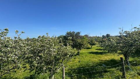 Quinta do Anjinho – Um refúgio único no coração do Alentejo
