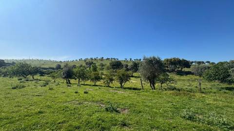 Quinta do Anjinho – Um refúgio único no coração do Alentejo