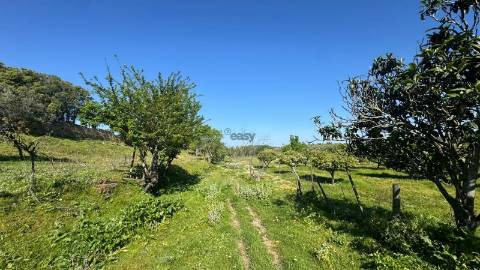 Quinta do Anjinho – Um refúgio único no coração do Alentejo