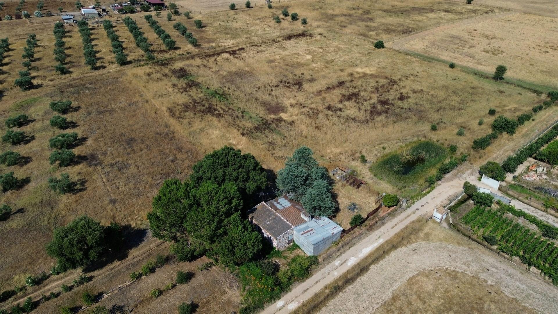 Propriedade rústica com 2,25 hectares integrada no regadio do Alqueva, Alvalade