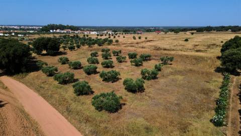 Propriedade rústica com 2,25 hectares integrada no regadio do Alqueva, Alvalade