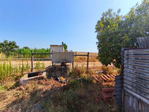 Propriedade rústica com 2,25 hectares integrada no regadio do Alqueva, Alvalade