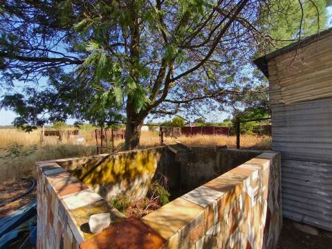 Propriedade rústica com 2,25 hectares integrada no regadio do Alqueva, Alvalade