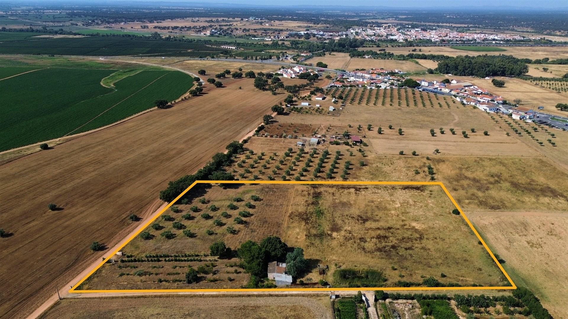 Propriedade rústica com 2,25 hectares integrada no regadio do Alqueva, Alvalade