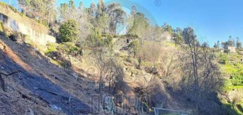 Quinta para Turismo Rural
