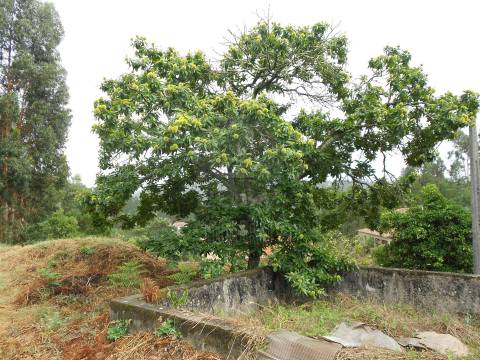 Terreno em Penafiel