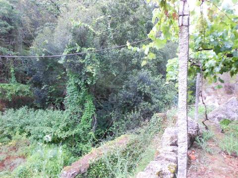 Terreno em Penafiel