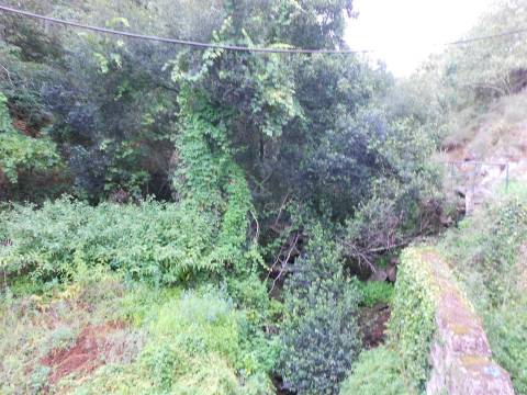 Terreno em Penafiel