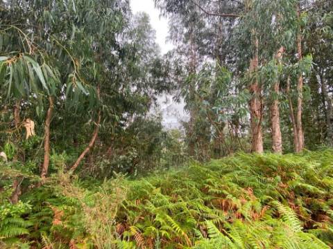 Terreno em Penafiel