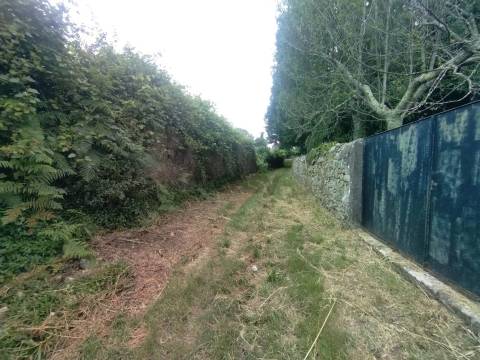 Terreno de Luxo em Caminha (5.000 m²) | Investimento Premium