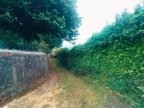 Terreno de Luxo em Caminha (5.000 m²) | Investimento Premium