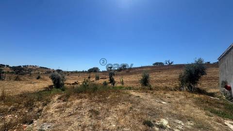Monte alentejano com 1 Hectare em Ourique | Natureza, Tranquilidade e Potencial de Valorização