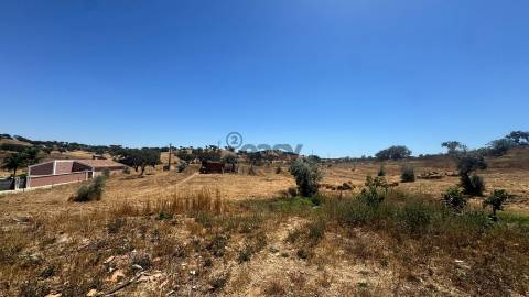 Monte alentejano com 1 Hectare em Ourique | Natureza, Tranquilidade e Potencial de Valorização