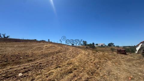Monte alentejano com 1 Hectare em Ourique | Natureza, Tranquilidade e Potencial de Valorização