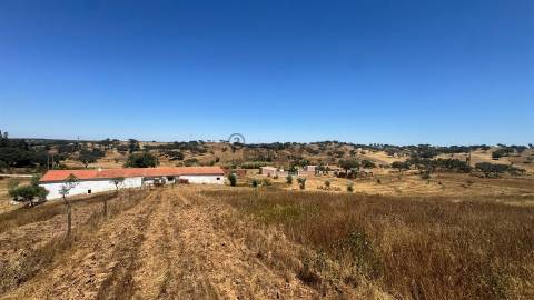 Monte alentejano com 1 Hectare em Ourique | Natureza, Tranquilidade e Potencial de Valorização