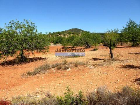 Casa, Quinta, 31.500m2, em Estói. Portugal, Faro, Estói.