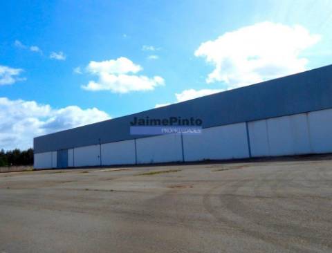 ARMAZÉM USADO 12 000 m2 com logradouro. Portugal, AVEIRO, ÁGUEDA.