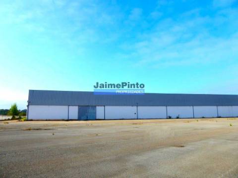 ARMAZÉM USADO 12 000 m2 com logradouro. Portugal, AVEIRO, ÁGUEDA.