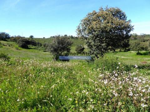 Herdade 162,5ha no Alentejo. Portugal, Beja, Almodôvar