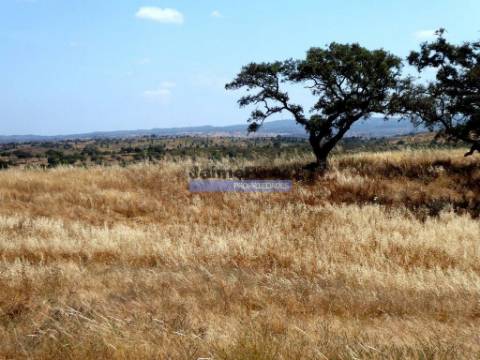 Herdade 162,5ha no Alentejo. Portugal, Beja, Almodôvar