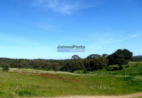 Herdade 162,5ha no Alentejo. Portugal, Beja, Almodôvar