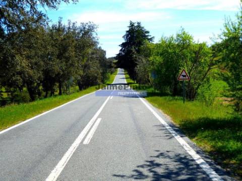 Herdade 162,5ha no Alentejo. Portugal, Beja, Almodôvar