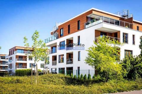 Terreno urbano 39.000m2 p/ construção apartamentos. Portugal, Águeda.