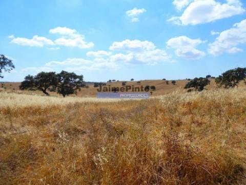 Herdade 162,5ha no Alentejo. Portugal, Beja, Almodôvar.