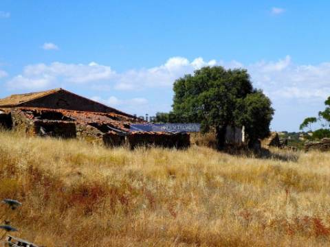 Herdade 162,5ha no Alentejo. Portugal, Beja, Almodôvar.