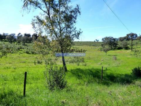 Herdade 162,5ha no Alentejo. Portugal, Beja, Almodôvar.