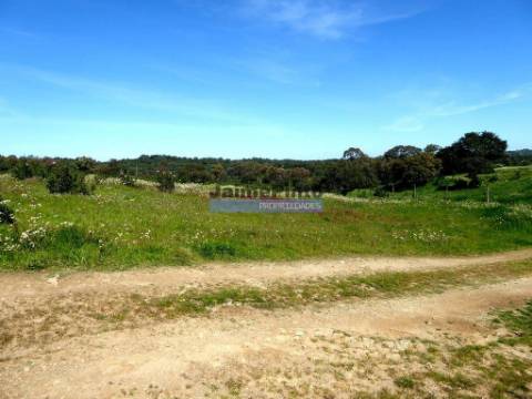 Herdade 162,5ha no Alentejo. Portugal, Beja, Almodôvar.
