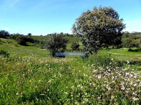 Herdade 162,5ha no Alentejo. Portugal, Beja, Almodôvar.