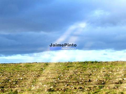 Propriedade 135.000m2 de terra p/ plantações novas. Portugal, Figueira Castelo Rodrigo.