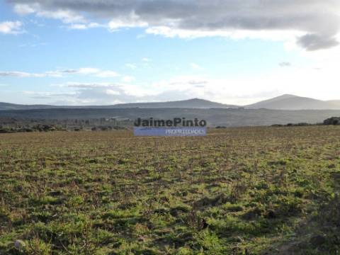 Propriedade 135.000m2 de terra p/ plantações novas. Portugal, Figueira Castelo Rodrigo.