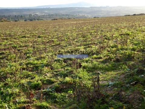 Propriedade 135.000m2 de terra p/ plantações novas. Portugal, Figueira Castelo Rodrigo.