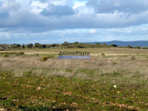 Terreno 210 000m2 p/ novas plantações, F. C. Rodrigo. Portugal, Guarda, F. C. Rodrigo.