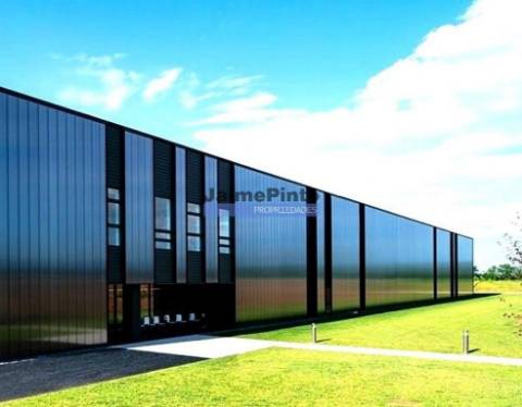 Terreno 55.000 m2 Industrial. Portugal, Alentejo, Beja.
