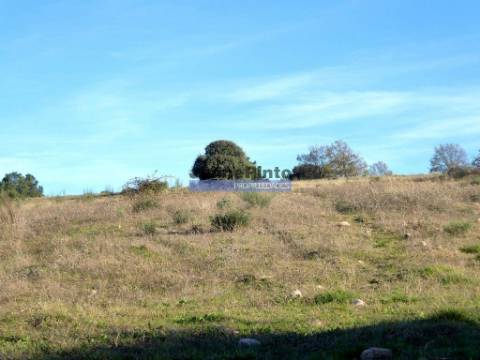 163.000m2 terra p/ plantações novas. Portugal, Douro Interior, F. C. Rodrigo.