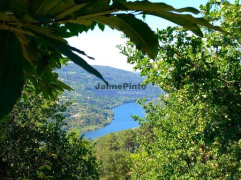 Terreno de encosta, ampla vista rio Douro. Portugal, Porto, Marco de Canaveses.