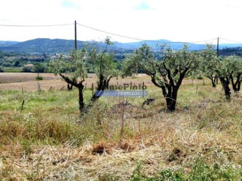 3ha Terreno Agrícola, com 2 Casas habitáveis. Portugal, Belmonte, Castelo Branco.