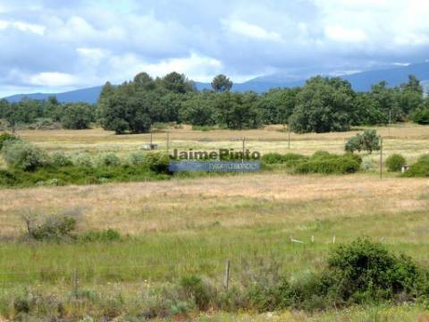 Propriedade 80,1ha de Cultivo Agrícola. Portugal, Belmonte, Castelo Branco.
