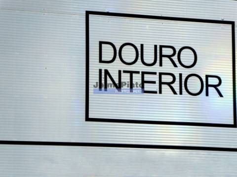 150.000m2 com Figueiras Biológicas, em Trás-os-Montes. Portugal, Mirandela.